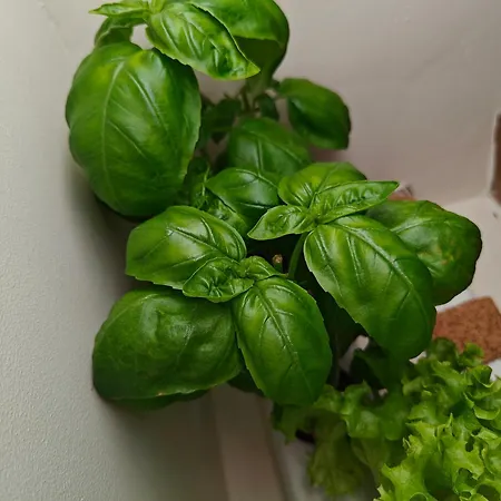 Ferienhaus Casca De Noz - Modern Rustic Getaway *